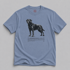 Labrador Retriever Celebration T-Shirt — Funny "Everything's a Celebration" Dog Tee