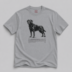 Labrador Retriever Celebration T-Shirt — Funny "Everything's a Celebration" Dog Tee