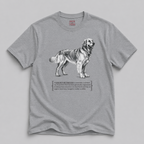 Golden Retriever Sunshine T-Shirt — 'Everyone's Best Friend' Graphic Tee