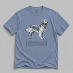 Golden Retriever Sunshine T-Shirt — 'Everyone's Best Friend' Graphic Tee